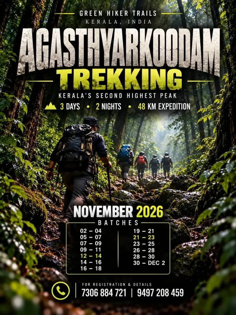 Poster for A batch every other day